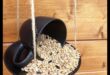 DIY Winter Bird Feeders: Crafting for Feathered Friends