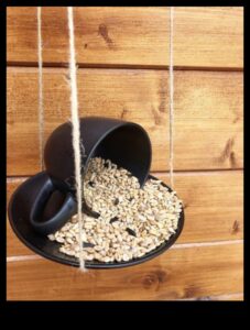 DIY Winter Bird Feeders: Crafting for Feathered Friends