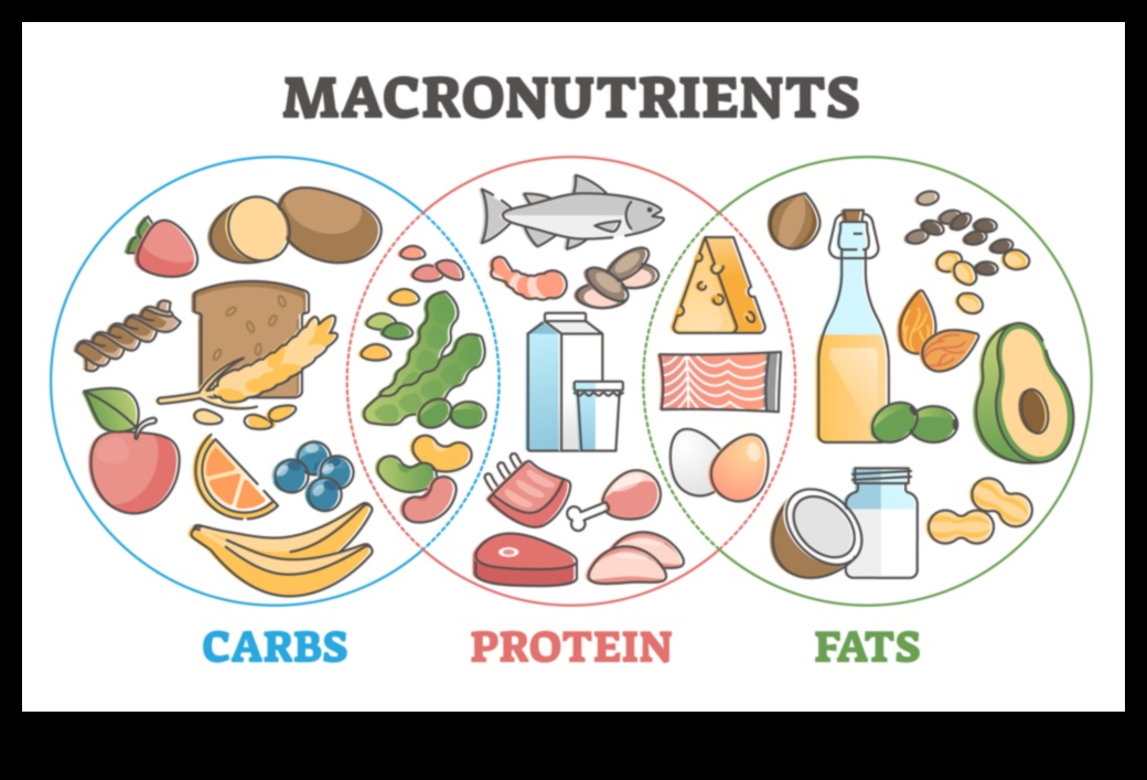 Ισορροπημένη διαβίωση: Ο ουσιαστικός ρόλος των μακροθρεπτικών συστατικών