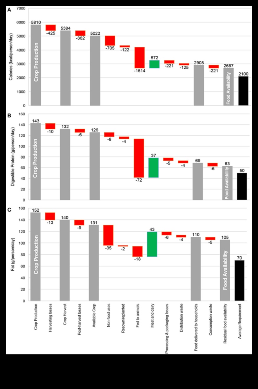 Πέρα από τις θερμίδες: Κατανόηση της πραγματικής διατροφικής αξίας