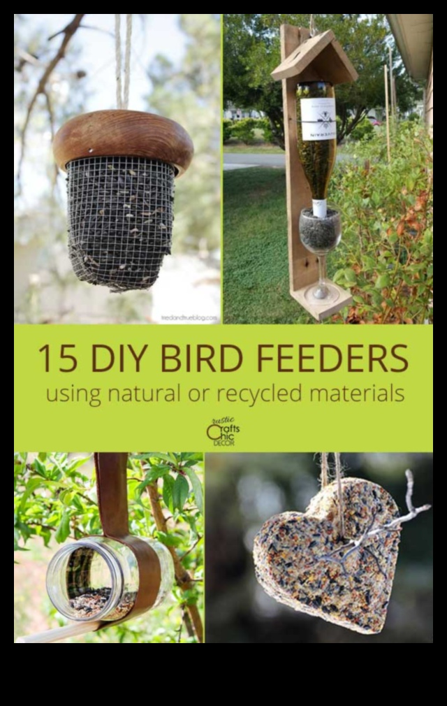 10 DIY τροφοδότες πουλιών για την αυλή σας 5 DIY Winter Bird Feeders: Crafting for Feathered Friends