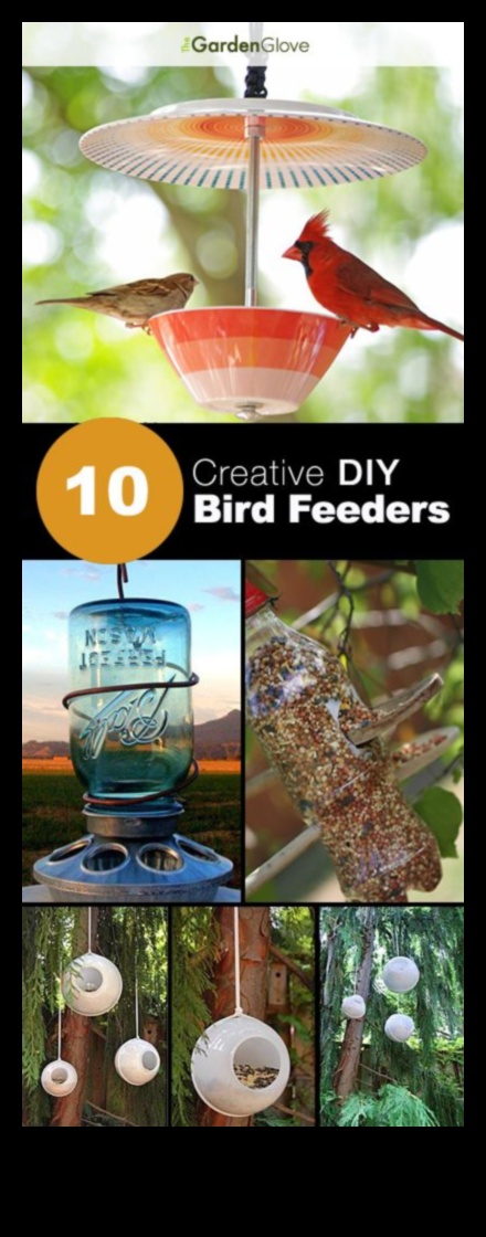 10 DIY τροφοδότες πουλιών για την αυλή σας 4 DIY Winter Bird Feeders: Crafting for Feathered Friends