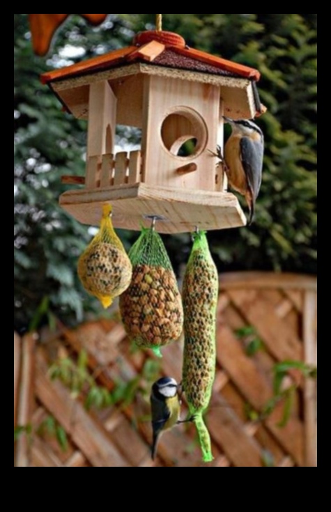 10 DIY τροφοδότες πουλιών για την αυλή σας 3 DIY Winter Bird Feeders: Crafting for Feathered Friends