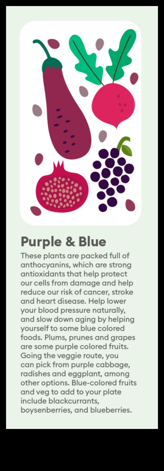 The Nutrient Spectrum: A Rainbow of Success in Nutrition Counseling
