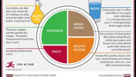 The Balanced Plate: Δημιουργώντας την Ιστορία Ευεξίας σας με Συμβουλευτική Διατροφής