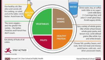 The Balanced Plate: Δημιουργώντας την Ιστορία Ευεξίας σας με Συμβουλευτική Διατροφής