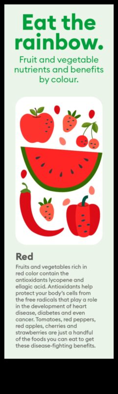 The Nutrient Spectrum: A Rainbow of Success in Nutrition Counseling