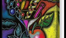 The Biochemical Canvas: Painting a Picture of Nutrition Wellness