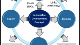 Strategies for Sustainable Growth: Business Wisdom in Modeling