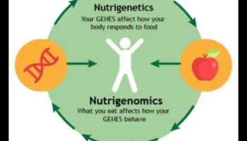 Το DNA σας, το πεπρωμένο σας: Το μέλλον της διατροφογονιδιωματικής